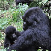  Mother and Baby (Rwanda)